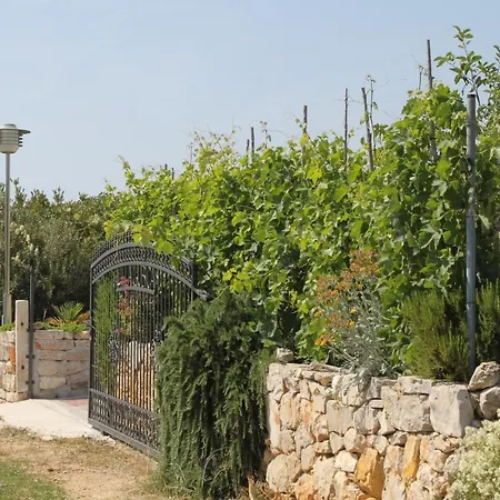 Maison d'hôtes And By The Sea Cove Soline, Dugi Otok - 448